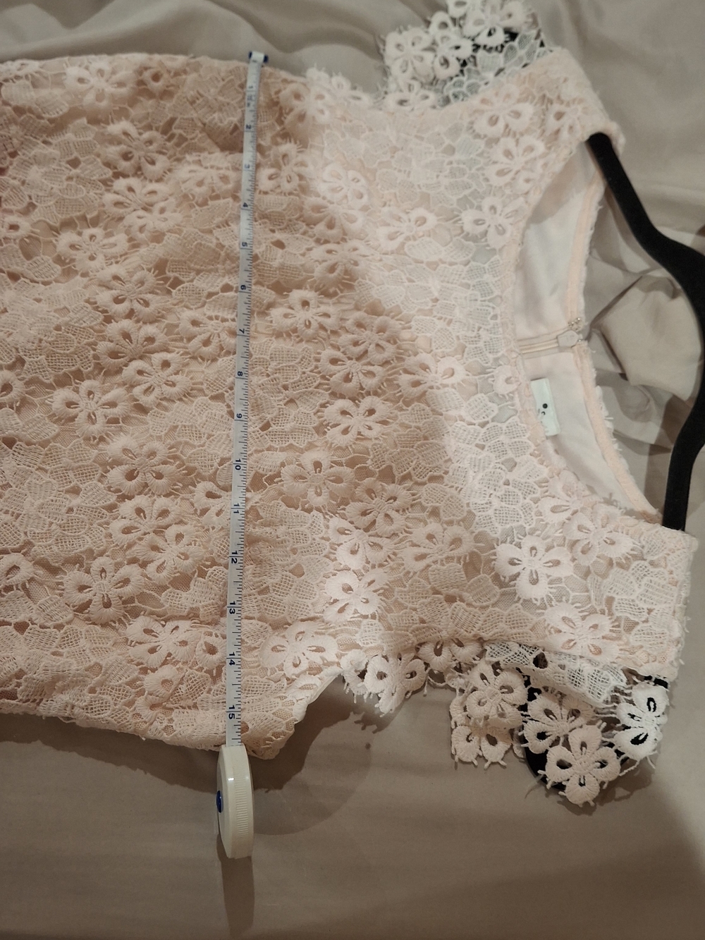 julia jordan Cream and Coral Lace Sheath Dress - Picture 7 of 16